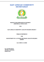 Screenshot 2023-03-26 185627 Customs and Trade Capacity Building Expert